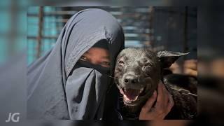 In the Name of Love  Story of a Muslim Dog Lover