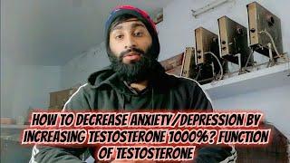 How To Decrease AnxietyDepression By Increasing Testosterone 1000%? Function Of Testosterone