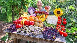 11-Year-Old Food Forest Garden Harvest 