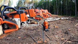 ОН РУШИТ СТЕРЕОТИПЫ И ОТКРЫТО ГОВОРИТЧТО ЛУЧШЕ STIHL или HUSQVARNA 