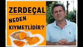 ZERDEÇALIN FAYDALARI NELERDİR I ZERDEÇAL FAYDASI NEDİR NASIL KULLANILIR I NE İŞE YARAR