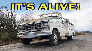 Back On the Road After 2 Years Ride Along - 1980 Ford F-350 Service Truck