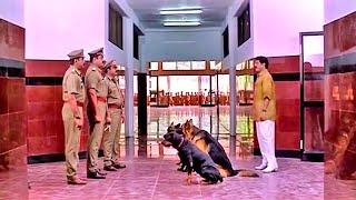 ഇവനാരെടാ പൊലീസോ അതോ ഗുണ്ടയോ....   Suresh Gopi Mass Scene  F. I. R.