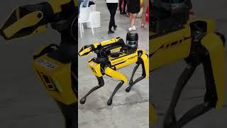 ROBOT IT Boston Dynamics#news #rek #film #hailstorm #football #motivation #worldcup #baki #memes