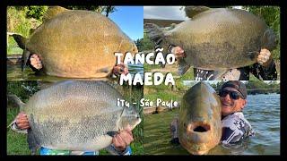 FUI NO PARQUE MAEDA TANCÃO34KG DE TAMBA NO PRIMEIRO DIA DE PESCARIASÓ PEIXE GIGANTE NESSA PESCARIA