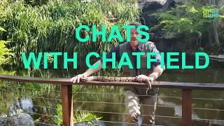 Chats with Chatfield - Homeschool - Ball Python