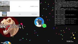 Trying captcha solver... agar.io bots wo recaptcha v3