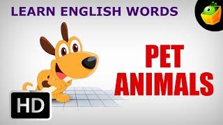 Pet Animals  Pre School  Learn English Words Spelling Video For Kids and Toddlers