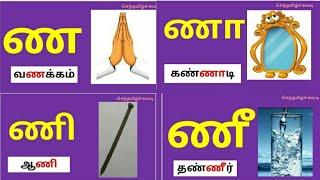 தமிழ்உயிர் மெய் எழுத்துக்கள்ண ணா ணி ணீ வரிசை சொற்கள்செந்தமிழ்ச்சுவடி