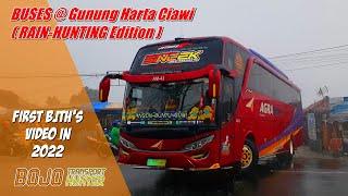 HUNTING BUS DI TENGAH HUJAN DERAS   Kompilasi Kedua Bus-bus di GH Ciawi