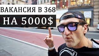 ВАКАНСИЯ на 5000$ в 368  Кейси Найстат