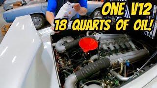 The Ridiculous 18 Quart Lamborghini Countach Oil Change