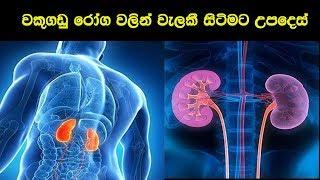 වකුගඩු රෝගයෙන් වැලකි සිටීමට උපදෙස්