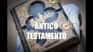 309-IT M. 14º Ciclo investigativo 1º Protocollo Antico Testamento - Claudia Pani Team Grifasi