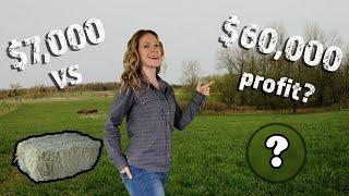 How THIS Crop Makes $60000 PER ACRE and WHY We Switched  - Big Gamble on a First Generation Farm