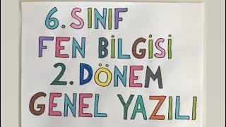 6. Sınıf Fen Bilgisi 2. Dönem Genel Tekrar