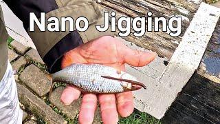 Nano and Micro Jigging for Perch