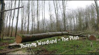 First Thinning Woodland.  What are my Plans for our Small Wood.