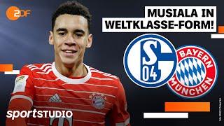 FC Schalke 04 – FC Bayern München Highlights  Bundesliga 15. Spieltag 202223  sportstudio