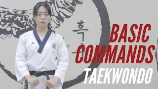 Taekwondo Basic Taekwondo Commands in Korean