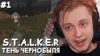 СТИНТ ИГРАЕТ в STALKER ТЕНЬ ЧЕРНОБЫЛЯ #1  ПРОХОЖДЕНИЕ СТАЛКЕРА