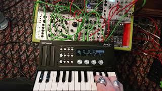 Roland A-01 Gate und CV Test