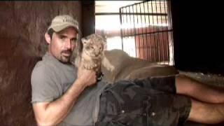 Kevin Richardson a very special Lioness & her Cubs