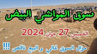 سوق المواشي لولاية البيض الخميس 27 جوان 2024