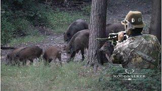 Old school Wildschweinjagd  das MUSS man berücksichtigen  Jagdfilm 2022  ep # 33