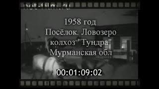 Мурманская обл.  Посёлок  Ловозеро.  Колхоз Тундра-1958