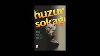 Şule Yüksel Şenler   Huzur Sokağı 1