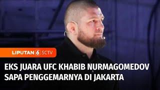 Menyapa Penggemar Eks Juara UFC Khabib Nurmagomedov Hadir di Jakarta  Liputan 6