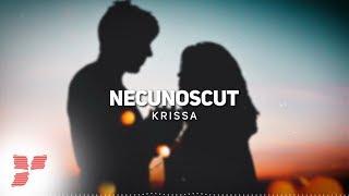 Krissa - Necunoscut   #LevelUpMusic