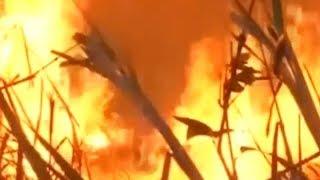 Amazon Fires BBC News Report