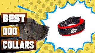 Best Dog Collars In 2024 - Top 10 Dog Collars Review