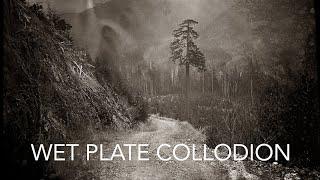 The Walbran Valley  Collodion Wet Plate Process