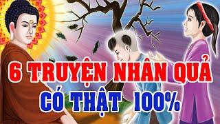 6 Truyện Nhân Quả Phật Giáo Có Thật 100% Cảnh Tỉnh Thế Nhân Ai Cũng Nên Nghe  Kể Truyện Đêm Khuya