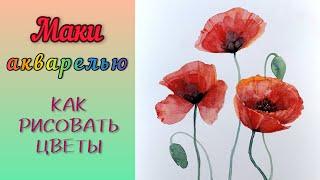 Маки Акварелью  Как Рисовать Цветы  How To Paint Poppies With Watercolor