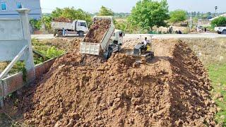 Starting new project Amazing skill Mitsubishis Dozer D20P pushing soil for landfill &5T dump truck