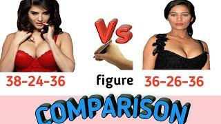 Sunny Leone Vs Poonam Pandey 2017  Comparison  Hit flop movies  Biography  Lifestyle  Networth