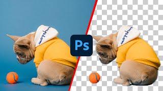 How to CUT OUT IMAGES in Photoshop 2023 For Beginners