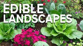 Edible Landscaping Growing Vegetables in Your Flower Bed