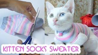 Cara Membuat Baju Kucing Sweater dari Kaos Kaki  DIY Socks Sweater for Kitten No Sewing