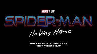 Spider-Man No Way Home Title Announcement