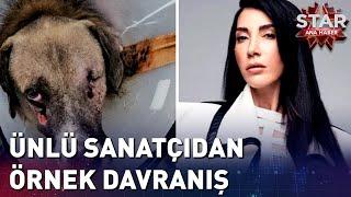 Hande Yener Tüfekle Vurulan Köpeği Sahiplendi  Star Ana Haber