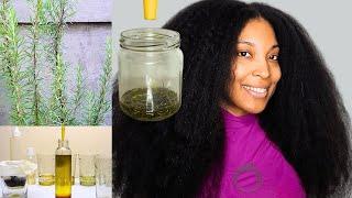 How To Make Rosemary Oil For Hair Growth  Caribbean Hair Growth Secret