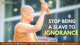 Stop Being a Slave to Ignorance  Friday Dhamma  01 Dec 2023