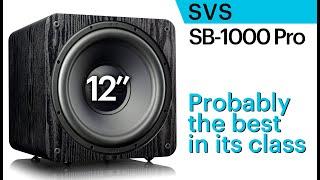 SVS SB-1000 Pro. Affordable 12 subwoofer. Probably the best in its class.