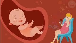  Pregnancy music for unborn baby  Brain development  Baby kick in the womb 