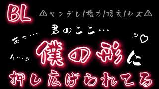 【BL腐向けボイス】王子様系男子との歪な関係【ルリにゃんこボーイズラブシチュエーションボイスシチュボ男性向け女性向けヤンデレ権力クズドS援交】